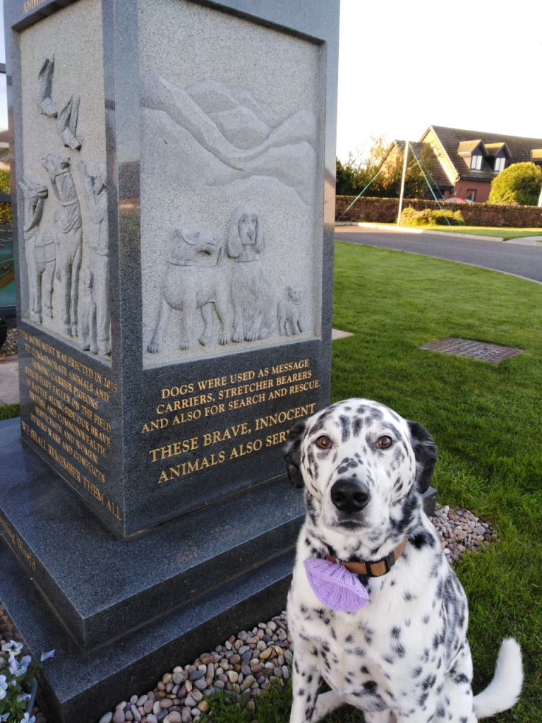 Animals in War Memorial with a dog.