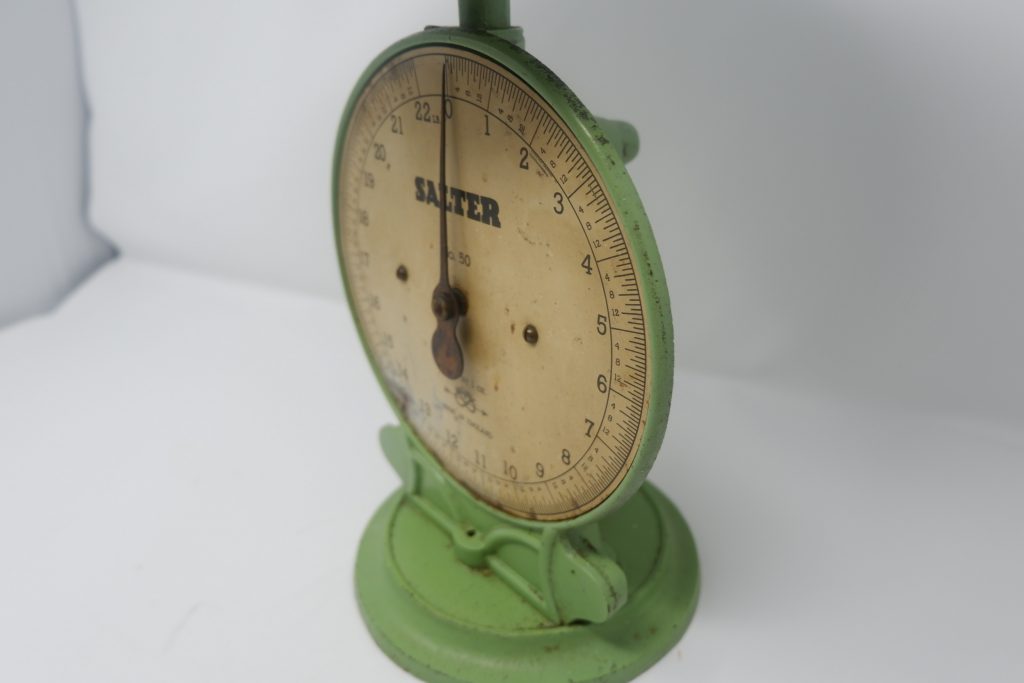 Salter Scale