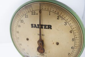 Salter Scale