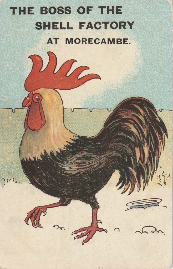 Postcard of a cockerel, which reads "The boss of the shell factory at Morecambe."