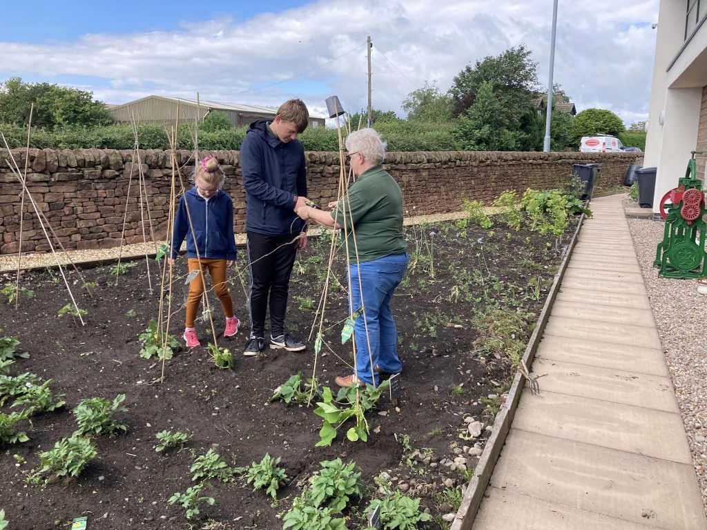 Two young people and a member of The Devil's Porridge Museum's team hard at work in the museum's Dig For Victory garden.