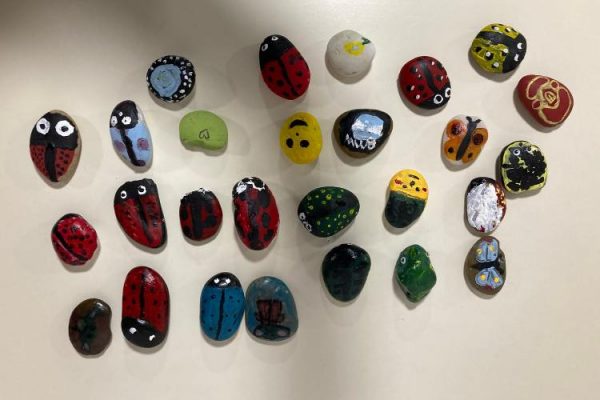 Stone painting workshop 2023 6 A collection of painted stones arranged on a table. Some are painted to look like ladybirds, butterflies and emojis among other creative designs.