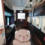 A wee toy bear in front of a replica trench. There are some display cases and text on the walls. A projection is at the end of the trench.