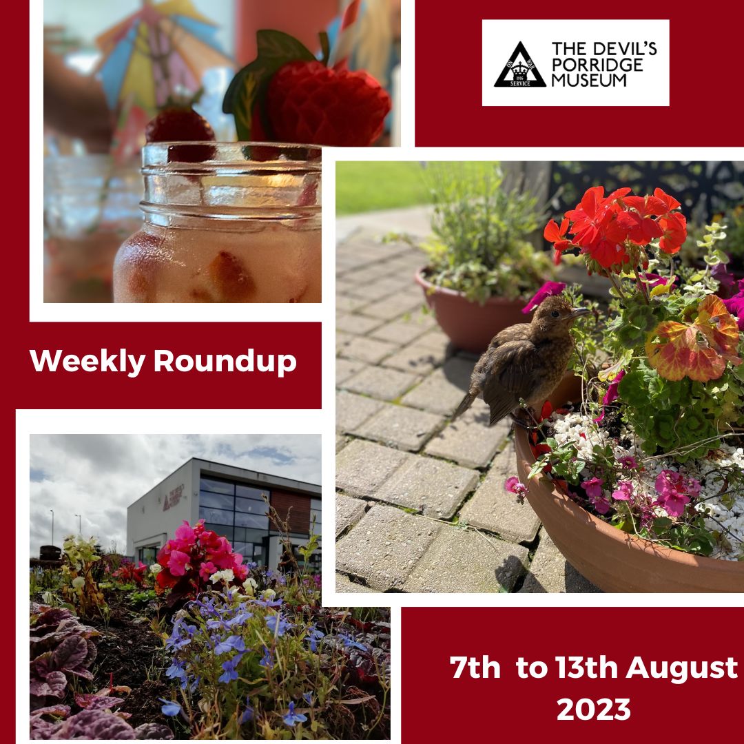 A collage of three photos. These are of a mocktail, a bird stood amongst some flowers outside The Devil's Porridge Museum and some flowers with the outside of The Devil's Porridge Museum in the background. There is some text which reads "Weekly Roundup 7th to 13th August 2023."