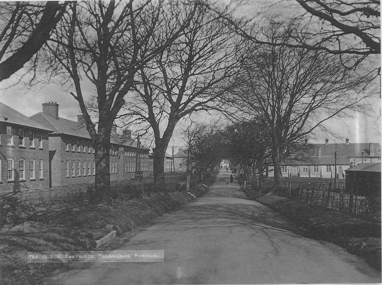 Melbourne Avenue a tree lined street in Eastriggs in the past.