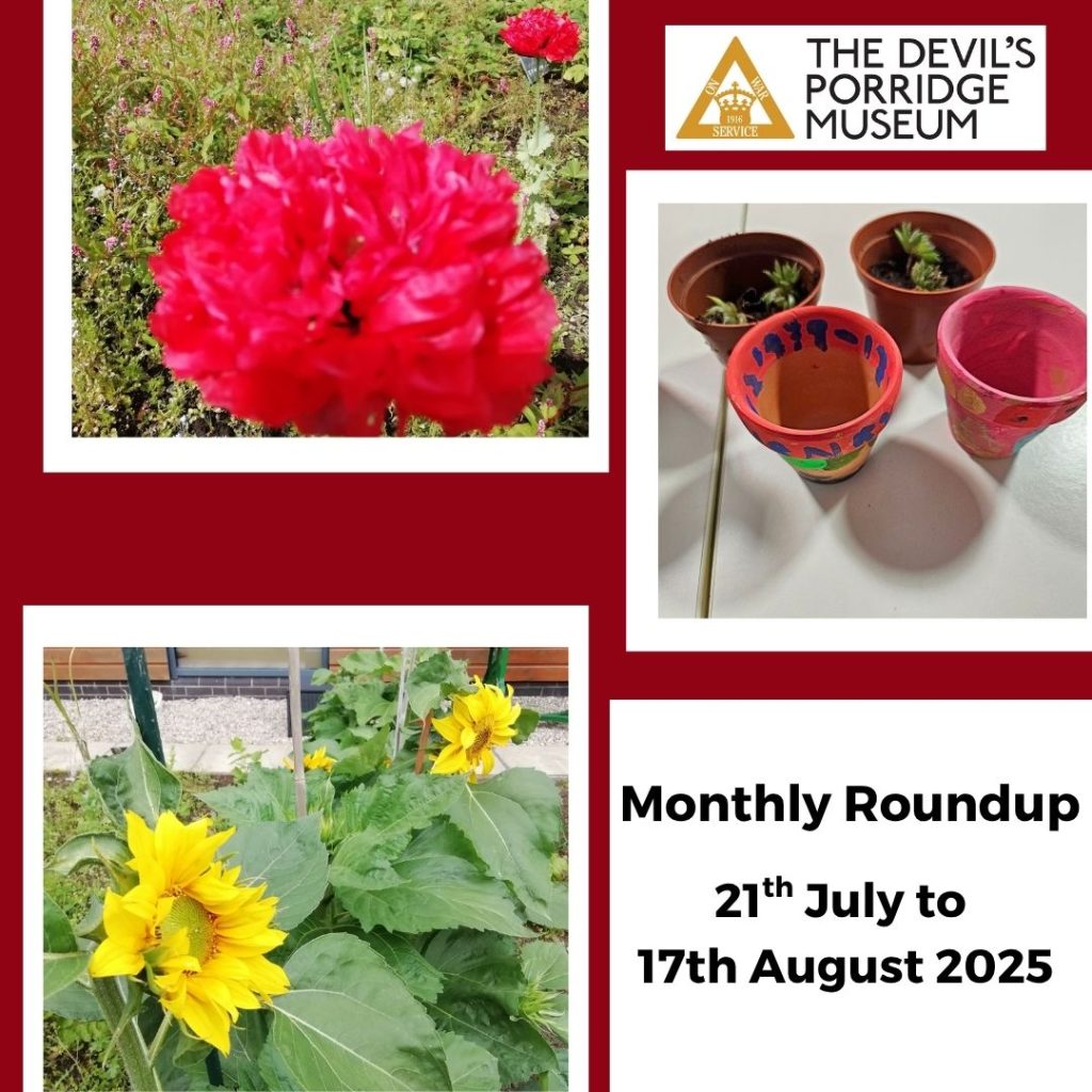 Monthly Roundup 21st July to 17th August 2025. Some red flowers growing in The Devil's Porridge Museum's Dig For Victory Garden, some colourful hand-decorated plant pots and some sunflowers growing in the Dig For Victory Garden.
