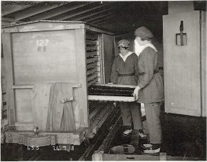 Two munitions workers stood at a drying stove with a draw pulled out in the Mossband section of H.M. Factory Gretna. This is a black and white archive photo.